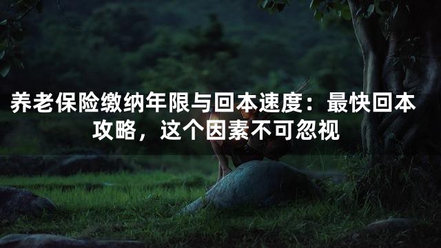 养老保险缴纳年限与回本速度：最快回本攻略，这个因素不可忽视