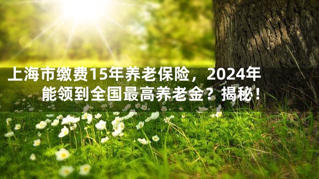 上海市缴费15年养老保险，2024年能领到全国最高养老金？揭秘！