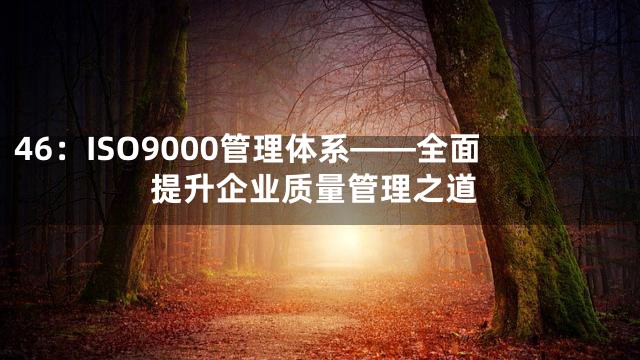 46：ISO9000管理体系——全面提升企业质量管理之道