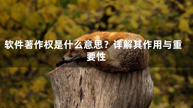 软件著作权是什么意思？详解其作用与重要性