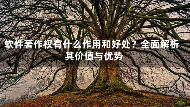 软件著作权有什么作用和好处？全面解析其价值与优势