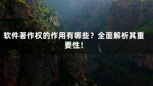 软件著作权的作用有哪些？全面解析其重要性！