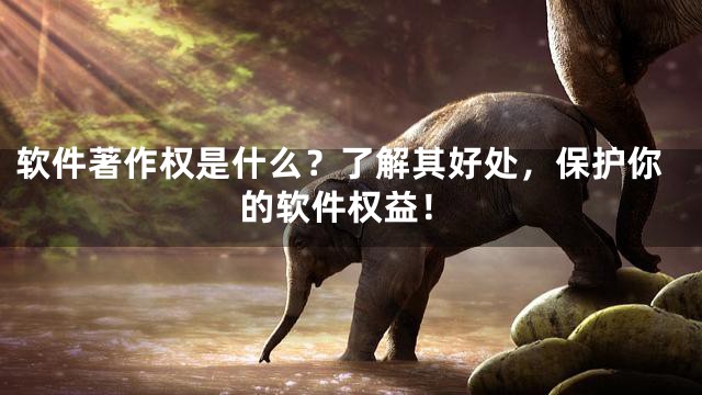 软件著作权是什么？了解其好处，保护你的软件权益！