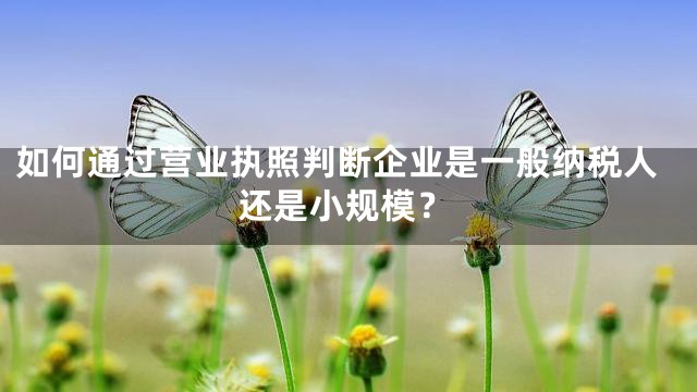 如何通过营业执照判断企业是一般纳税人还是小规模？