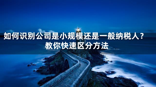 如何识别公司是小规模还是一般纳税人？教你快速区分方法