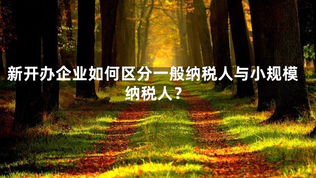 新开办企业如何区分一般纳税人与小规模纳税人？