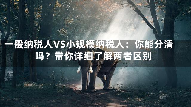 一般纳税人VS小规模纳税人：你能分清吗？带你详细了解两者区别
