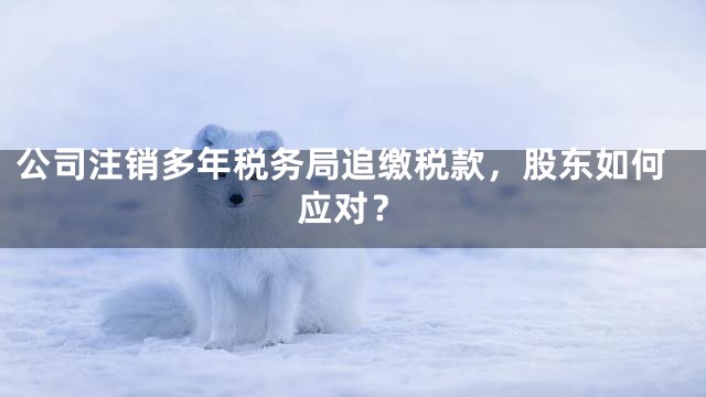 公司注销多年税务局追缴税款，股东如何应对？