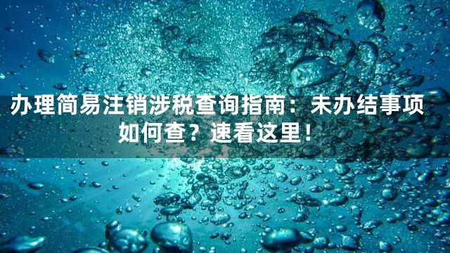 办理简易注销涉税查询指南：未办结事项如何查？速看这里！