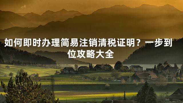 如何即时办理简易注销清税证明？一步到位攻略大全