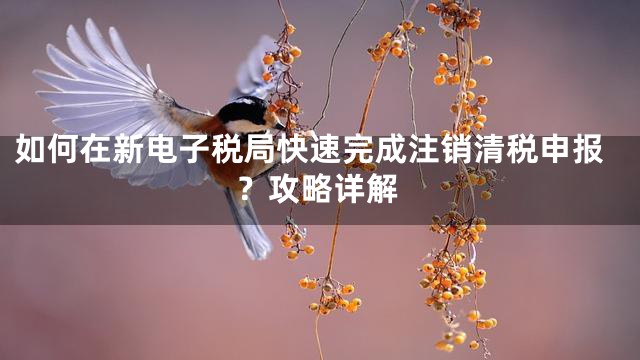 如何在新电子税局快速完成注销清税申报？攻略详解