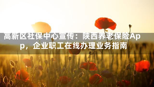 高新区社保中心宣传：陕西养老保险App，企业职工在线办理业务指南