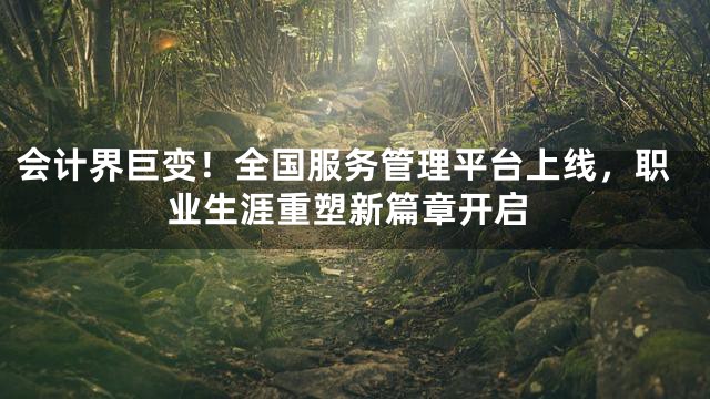 会计界巨变！全国服务管理平台上线，职业生涯重塑新篇章开启