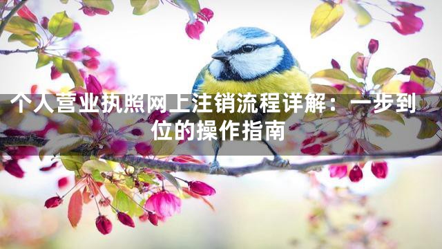个人营业执照网上注销流程详解：一步到位的操作指南