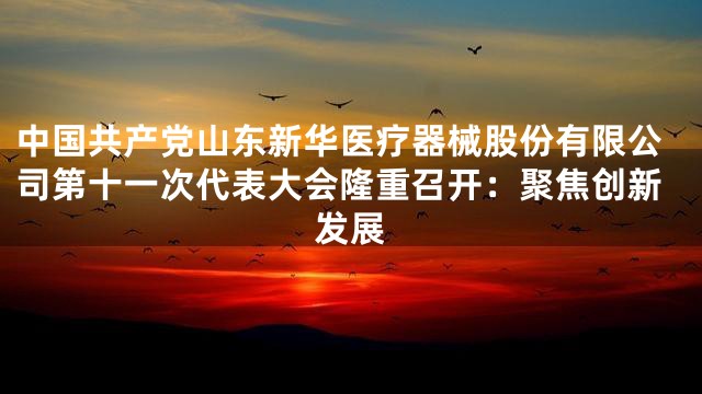 中国共产党山东新华医疗器械股份有限公司第十一次代表大会隆重召开：聚焦创新发展