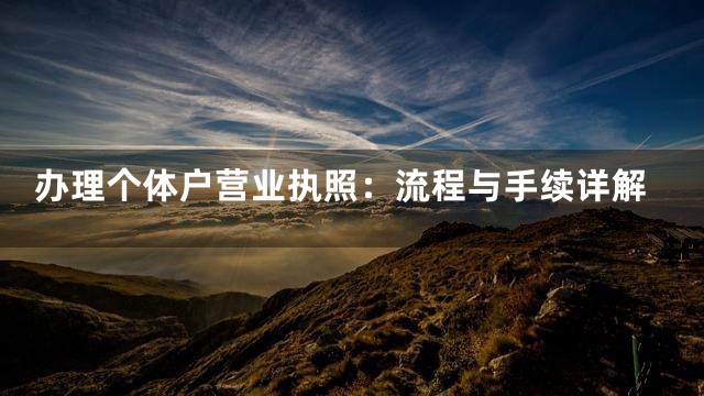 办理个体户营业执照：流程与手续详解