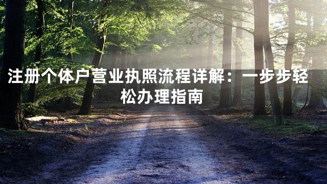 注册个体户营业执照流程详解：一步步轻松办理指南