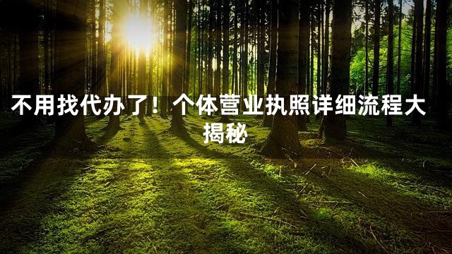 不用找代办了！个体营业执照详细流程大揭秘