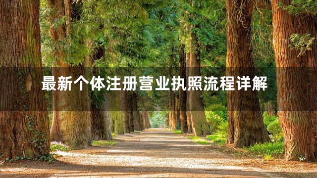 最新个体注册营业执照流程详解