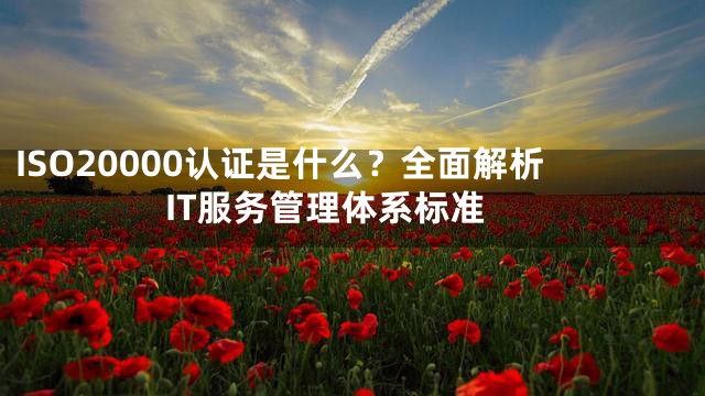 ISO20000认证是什么？全面解析IT服务管理体系标准