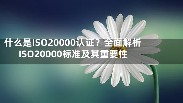 什么是ISO20000认证？全面解析ISO20000标准及其重要性