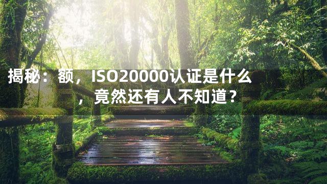 揭秘：额，ISO20000认证是什么，竟然还有人不知道？