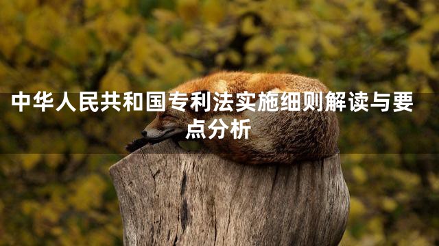 中华人民共和国专利法实施细则解读与要点分析