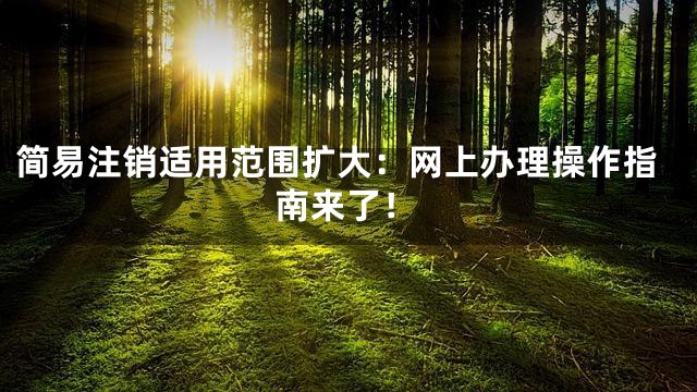 简易注销适用范围扩大：网上办理操作指南来了！