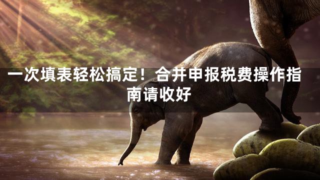 一次填表轻松搞定！合并申报税费操作指南请收好