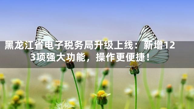 黑龙江省电子税务局升级上线：新增123项强大功能，操作更便捷！