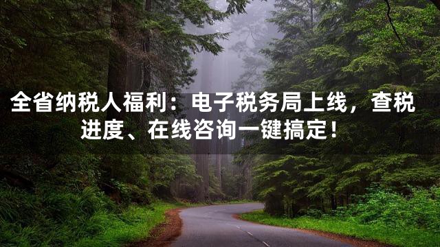 全省纳税人福利：电子税务局上线，查税进度、在线咨询一键搞定！