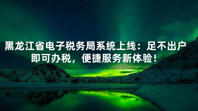 黑龙江省电子税务局系统上线：足不出户即可办税，便捷服务新体验！