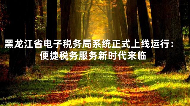 黑龙江省电子税务局系统正式上线运行：便捷税务服务新时代来临