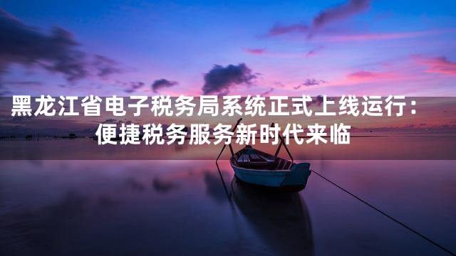 黑龙江省电子税务局系统正式上线运行：便捷税务服务新时代来临