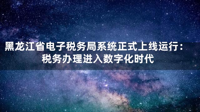 黑龙江省电子税务局系统正式上线运行：税务办理进入数字化时代