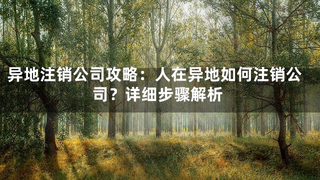 异地注销公司攻略：人在异地如何注销公司？详细步骤解析