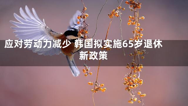 应对劳动力减少 韩国拟实施65岁退休新政策