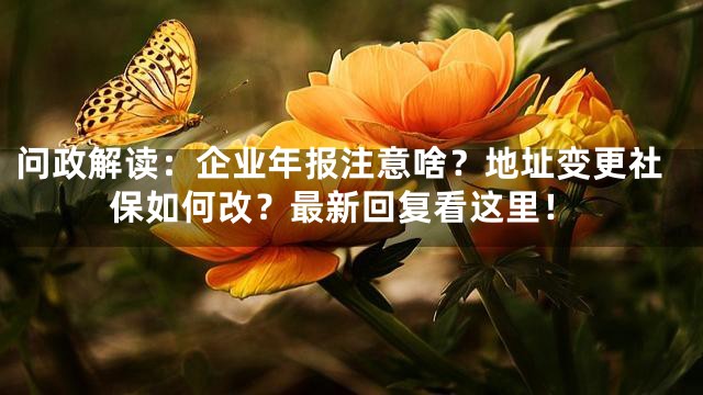 问政解读：企业年报注意啥？地址变更社保如何改？最新回复看这里！