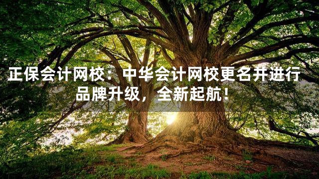 正保会计网校：中华会计网校更名并进行品牌升级，全新起航！