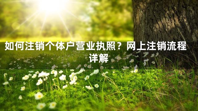 如何注销个体户营业执照？网上注销流程详解