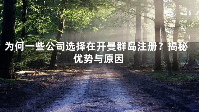 为何一些公司选择在开曼群岛注册？揭秘优势与原因