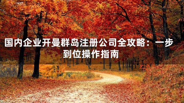 国内企业开曼群岛注册公司全攻略：一步到位操作指南