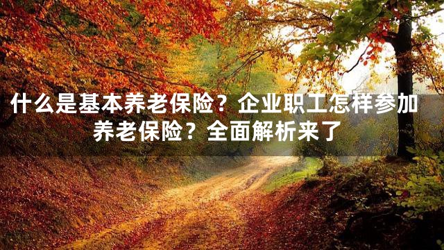 什么是基本养老保险？企业职工怎样参加养老保险？全面解析来了