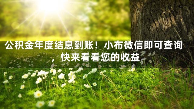 公积金年度结息到账！小布微信即可查询，快来看看您的收益