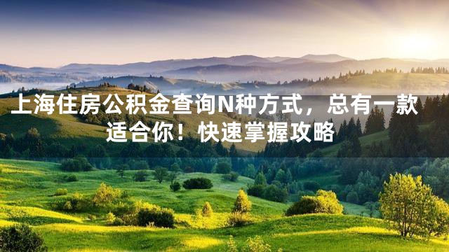 上海住房公积金查询N种方式，总有一款适合你！快速掌握攻略