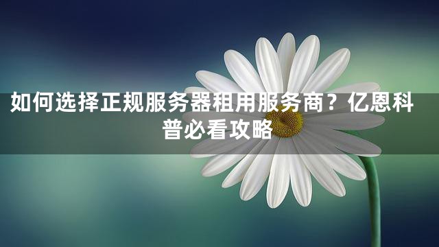 如何选择正规服务器租用服务商？亿恩科普必看攻略