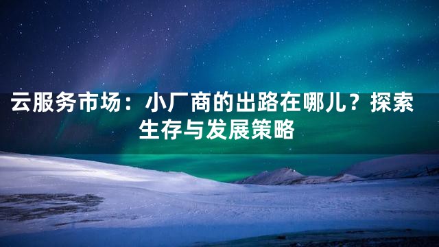 云服务市场：小厂商的出路在哪儿？探索生存与发展策略