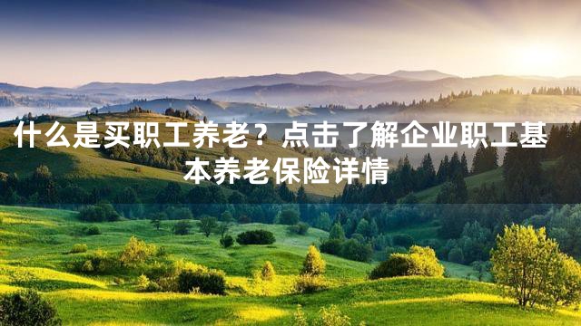什么是买职工养老？点击了解企业职工基本养老保险详情