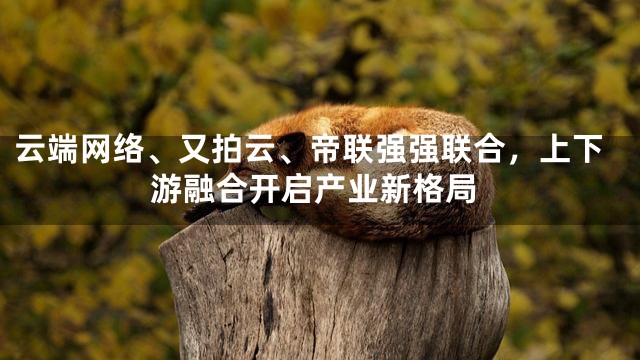 云端网络、又拍云、帝联强强联合，上下游融合开启产业新格局