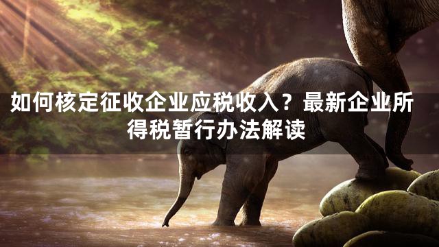 如何核定征收企业应税收入？最新企业所得税暂行办法解读